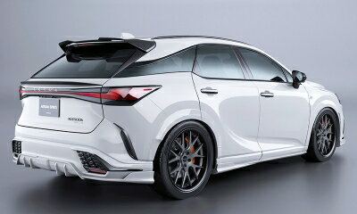 ALA/ALH 10系 レクサス RX BLACK LABEL リアルーフスポイラー FRP製 素地