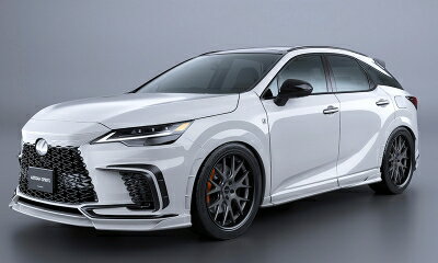 ALA/ALH 10系 レクサス RX BLACK LABEL フロントバンパーガーニッシュ F-SPORT用 カーボン製 素地