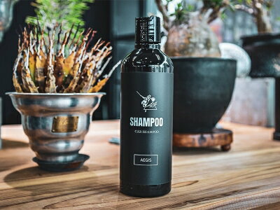 AEGIS イージス カーシャンプー 500ml