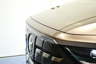 40 アルファード フードトップスポイラー FRP 塗装済