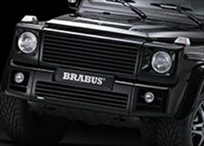 BENZ G W463 デザイングリル 塗装済み