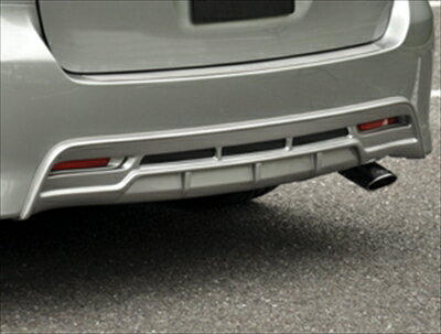 NEO SPEED for ウィッシュ 20 REAR FACE SPOILER 塗装済