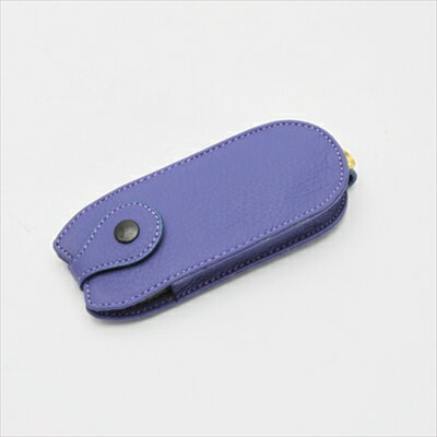 BMW MINI R50/R52/R53 CLOS レザーキーケース ブルー