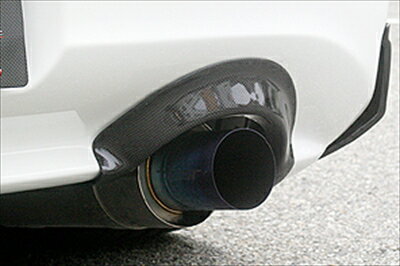 S2000 AP1/AP2 後期 ヒートシールド（カーボン製）【納期未定】 塗装済み