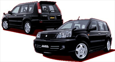 T30 X-TRAIL BLACK×METAL　ルーフスポイラー（前期のみ-03/5） 塗装取付込