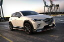 CX-3 DK5FW/DK5AW フロントスポイラー 塗装取付込(2)