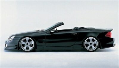 MERCEDES BENZ SL-class 230 SIDE STEP 塗装済み(2)