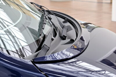 WAGON-R STINGRAY MH23S (X/T/TS) ボンネットガーニッシュ 塗装済み