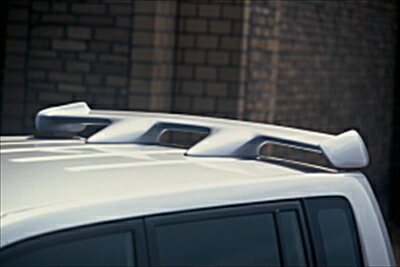 RH-1 S-MX リアウィング 塗装取付込