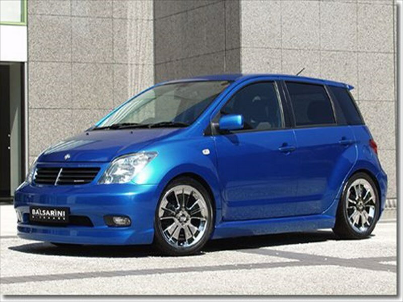 BALSARINI ist TYPE B サイドステップ（FRP製） 塗装取付込