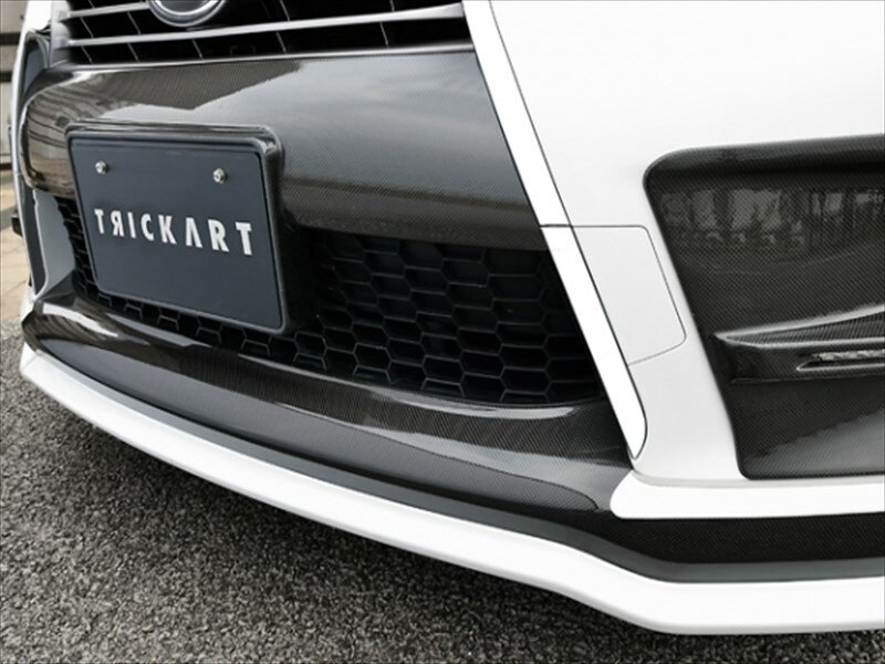 LEXUS RX 後期 グリルガーニッシュ WetCarbon製