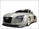 AUDI TT 8J GECKO PROTO TYPE ボディキット