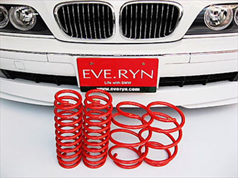 H＆R ダウンサス BMW 5シリーズツーリング E39 525i/528i/530i DS##/DD##/DP28 レベ付き　29791-2 H＆R コイルオーバー 車高調整式サスペンションキット BMW 5シリーズ