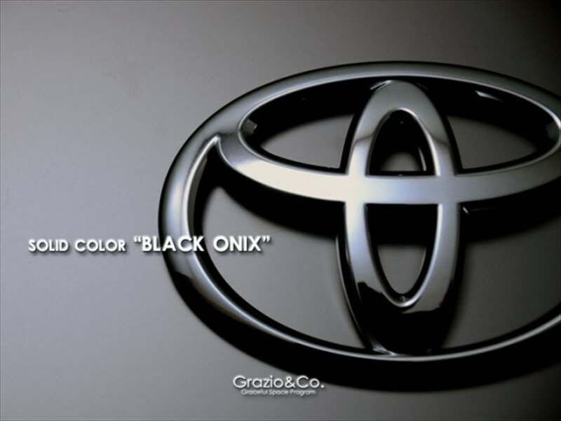 ヴォクシー 80系 ハイブリッド車 後期（2017.07〜）用 ソリッドカラーエンブレム 前後2点セット フロントTマーク換装仕様 ブラックオニキス