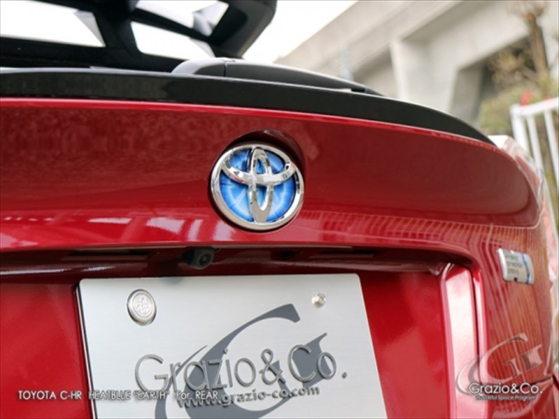 CHR 前期 ZYX10/NGX50 ヒートブルー EARTH プレート単体 リア専用