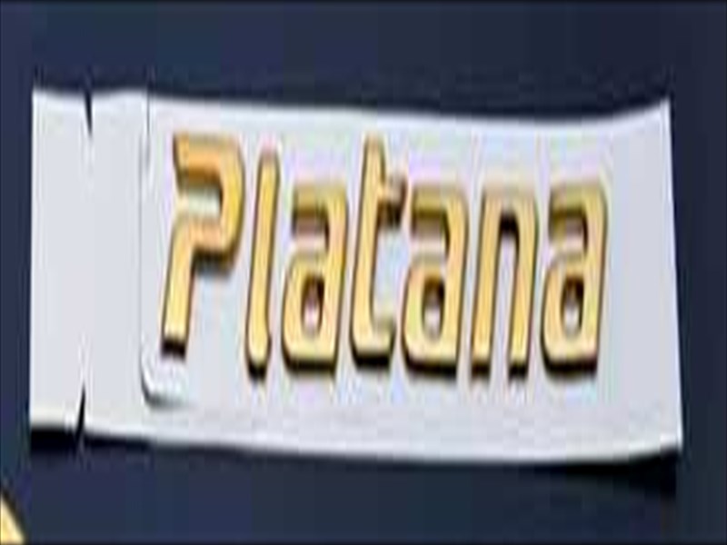 アイシス 10系 後期 ソリッドカラーエンブレム PLATANAロゴ マットホワイト