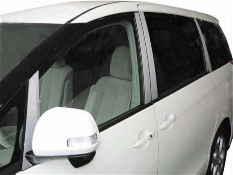 エスティマ ACR/GSR50系 マジカルカーボン ピラーセット スタンダードタイプ 左右セット 8ピース カラー：レッド