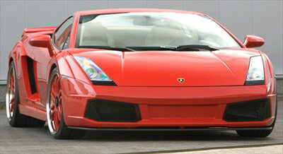 Gallardo GTV フロントグレーチングパネル