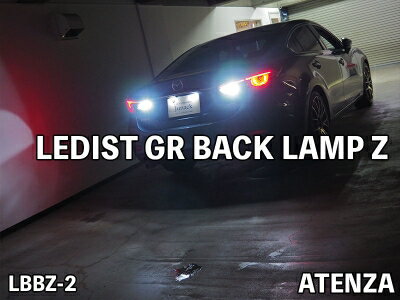 LEDIST (ǥ) GRХåZ T20å