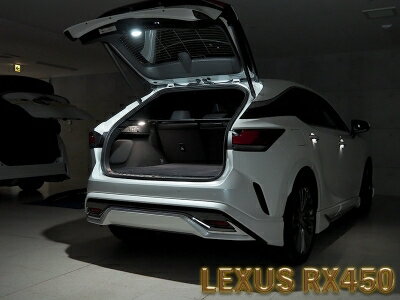 쥯 RX 10 LEDIST  LEDȯ顼:ۥ磻