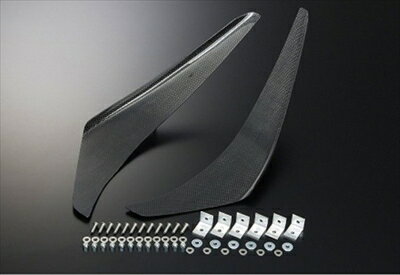 インテグラ DC2 タイプR カーボンカナード クリア塗装済み