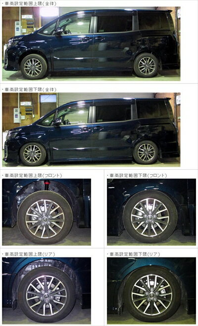 楽天市場】ヴォクシー80 ラルグス dの通販