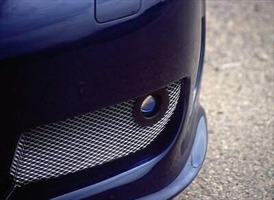 Fog Lamp Kit Universal (1set)