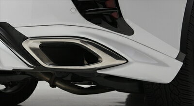 LEXUS RX 20系 前期 200t LXカラードリアサイドスパッツ 塗装取付込