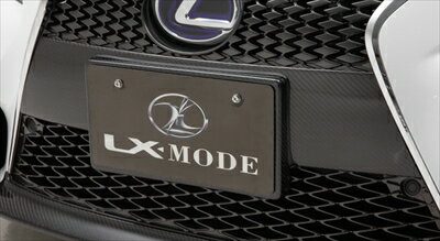 LEXUS IS GSE3#/AVE30前期（2013/05-2016/09） LX フロントバンパーガーニッシュ Fスポーツ専用品 FRP製 素地