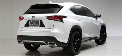 LEXUS NX300h/200t LXカーボンリアライセンスガーニッシュ ナンバーフレーム有車用
