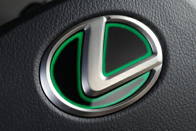 LEXUS NX 10系 LXステアリングエンブレムカラードベース レクサスTYPE-1 (2020/7-) グラデーションカラー グリーン