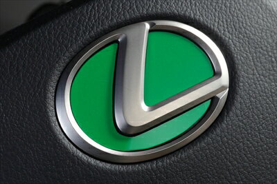 LEXUS NX 10系 LXステアリングエンブレムカラードベース レクサスTYPE-2 （-2020/7） ソリッドカラー グリーン