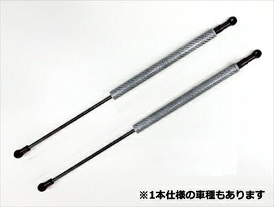 ランサーエボリューション 4-6 ボンネットダンパー シルバーカーボン ※車検証必要