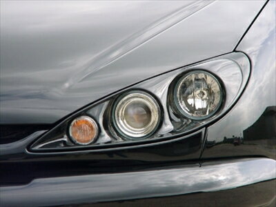 PEUGEOT 206 HB/CC/SW 4灯ヘッドランプキット 塗装済