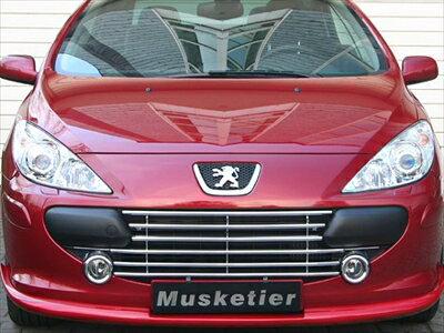 PEUGEOT 307 T6 ステンレスフロントグリル