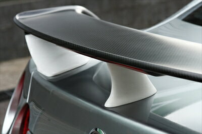 REAR WING BASE（Wing base / Center stay) 塗装取付込