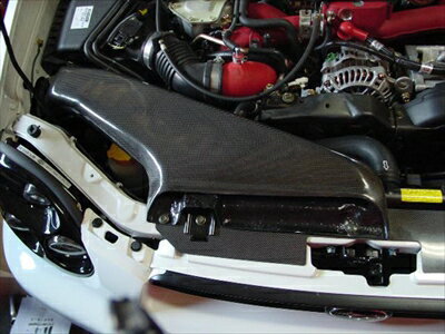 GDB Eternalブランド エアインテークダクト カーボン