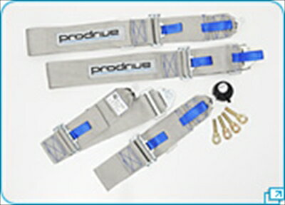 RACING HARNESS team TECH Sports Seat Belt