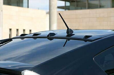 プリウス ZVW30 前期 乱人 Black Edition ルーフフィン