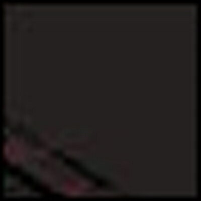 Sabelt TOP FORMULA A BK左側