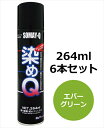 染めQエアゾール 264ml 6本セット エバーグリーン