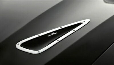 BMW X6 E71 ボンネットエアーダクト