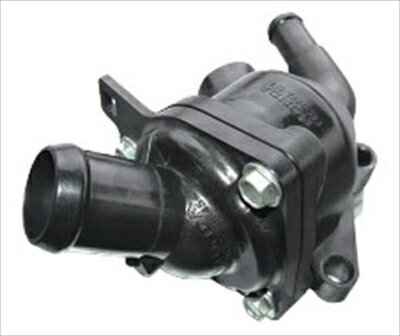 BLOOD SPORTS FD2 ローテンプサーモ