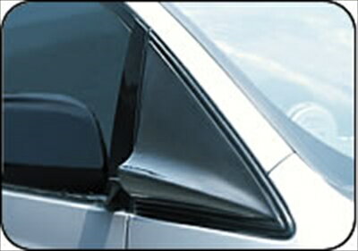 ESTIM ACR/MCR エアロスクリーンカーボン クリア塗装済み