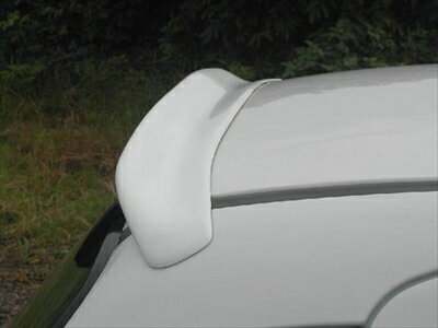 ツイン ダックテール 塗装取付込