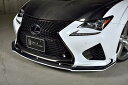 LEXUS RC F 前期 USC10 WORLD PLUTINUM プラチナスタイルキット