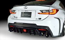 LEXUS RC F 前期 USC10 WORLD PLUTINUM トランクスポイラー カーボン製