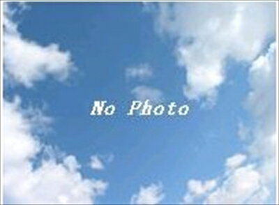 ハイエース 200系 F50タイプルームミラーカバー 塗装済 ノーブルパールトーニング (2JM)