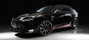 LEXUS NX AGZ/AYZ10/15 (H26.7-) SPORTS LINE BLACK BISON EDITION エアロ2点キット 塗装済み(2)