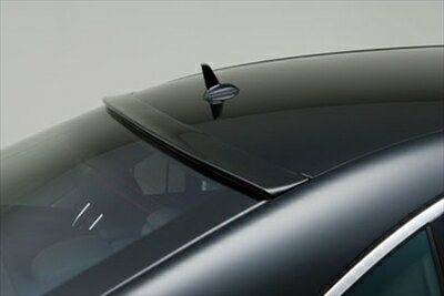 S-class W221 EXECUTIVE LINE ROOF SPOILER(〜2009y) 塗装取付込